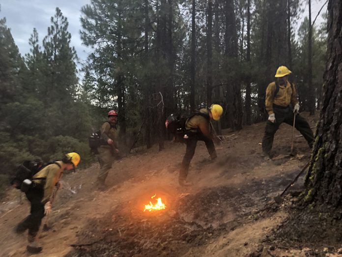 Plumas National Forest firefighters work to contain the Blackhawk Fire above the Mount Hough Ranger District office. Photos courtesy Plumas National Forest
