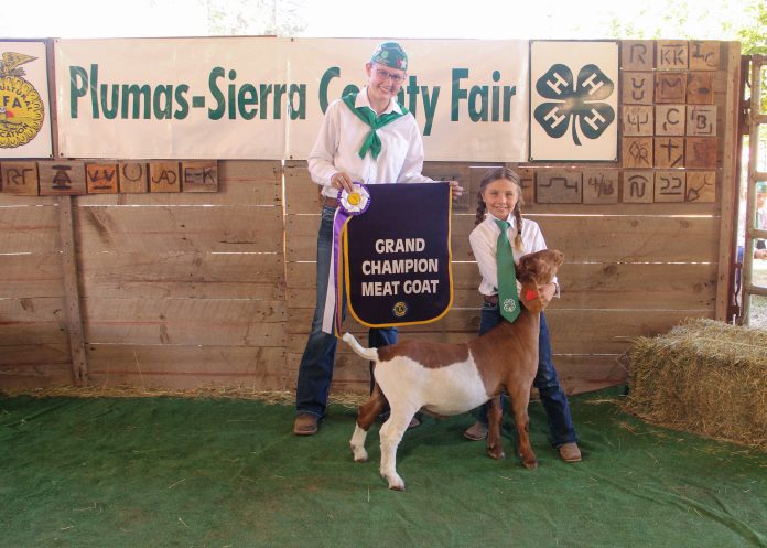 Grand champion meat goat with Joey Freeto. Photos by Amanda Osburn / Amanda Osburn Photography