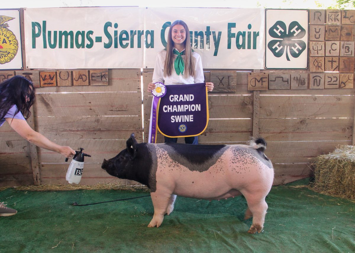 Grand champion swine with Gianna Tantardino.