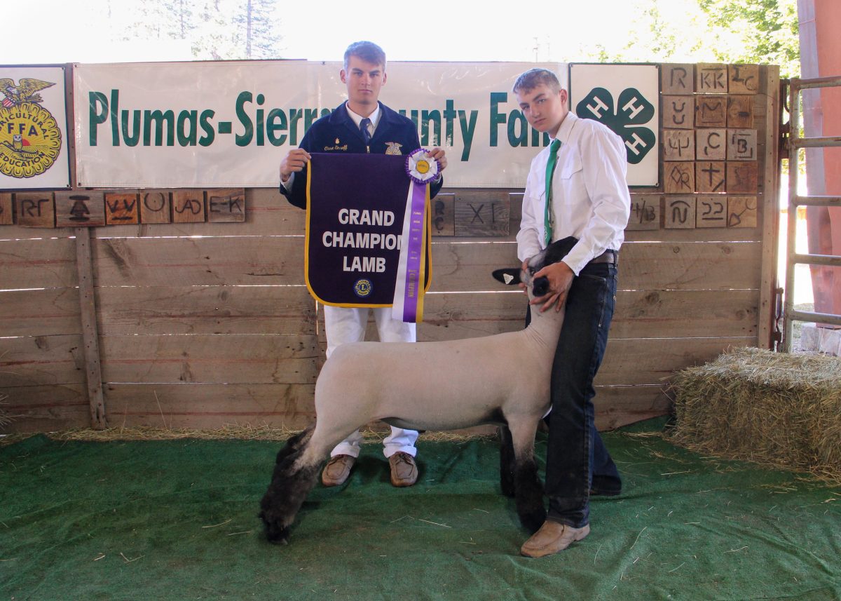 Grand champion lamb with Justus Emsoff.