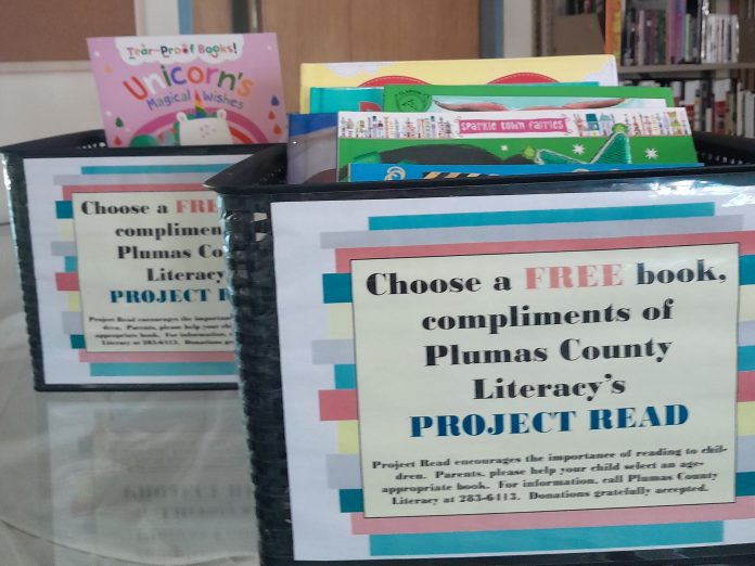 Bins of books await their new owners during Plumas County Library's upcoming month-long giveaway. Photo courtesy Plumas County Library