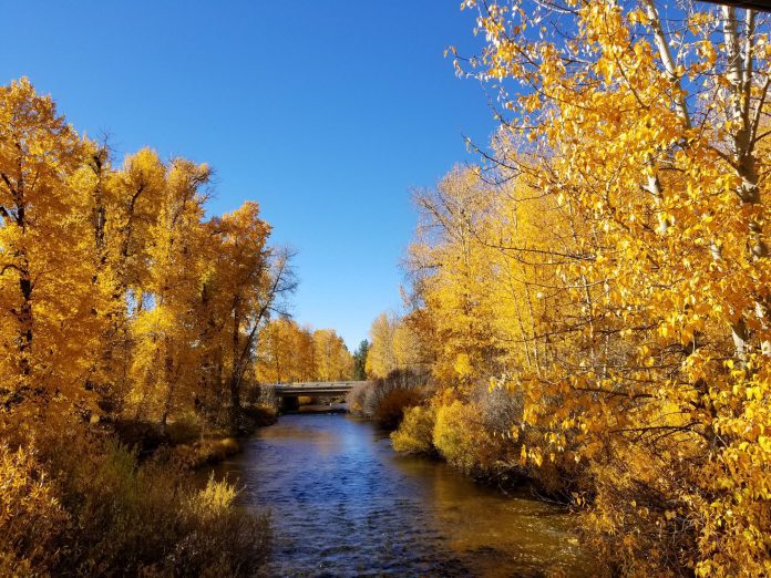 Fall color is coming to Plumas County. Photo courtesy Feather River Tourism Association