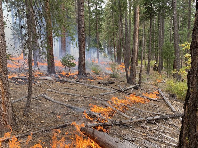 Plumas National Forest conducts prescribed burning operations on the Big Hill Project near Cromberg. Photos courtesy Plumas National Forest