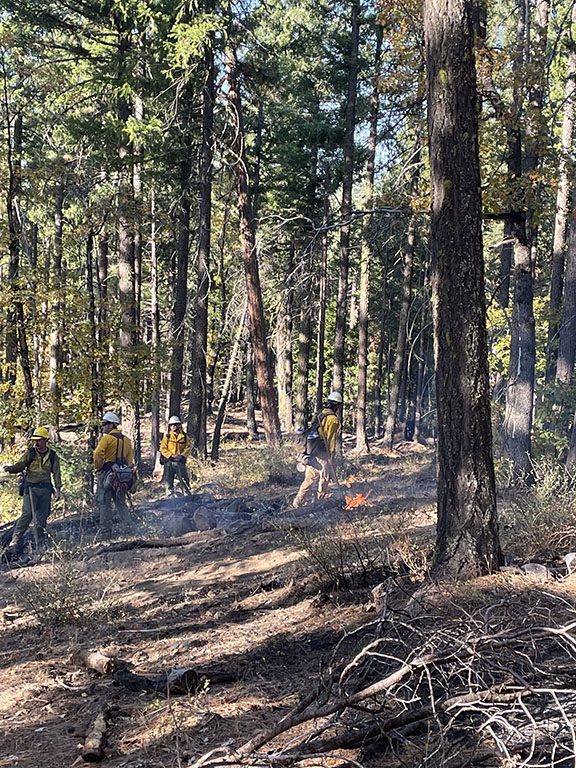 Firefighters conduct prescribed burning operations outside Cromberg. Photos courtesy Plumas National Forest