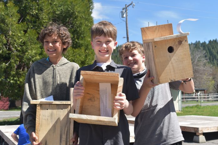 Students John Ryan, Cody and Weston showcase their crafted birdhouses, each tailored to suit the needs of local bird species. Photos by Liz Ramsey